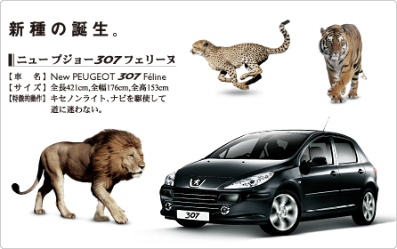 プジョー307Feline セクション大 