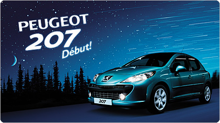 プジョー207_セクション