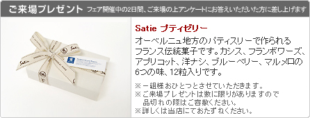 207Feline Debut 　セクション2 