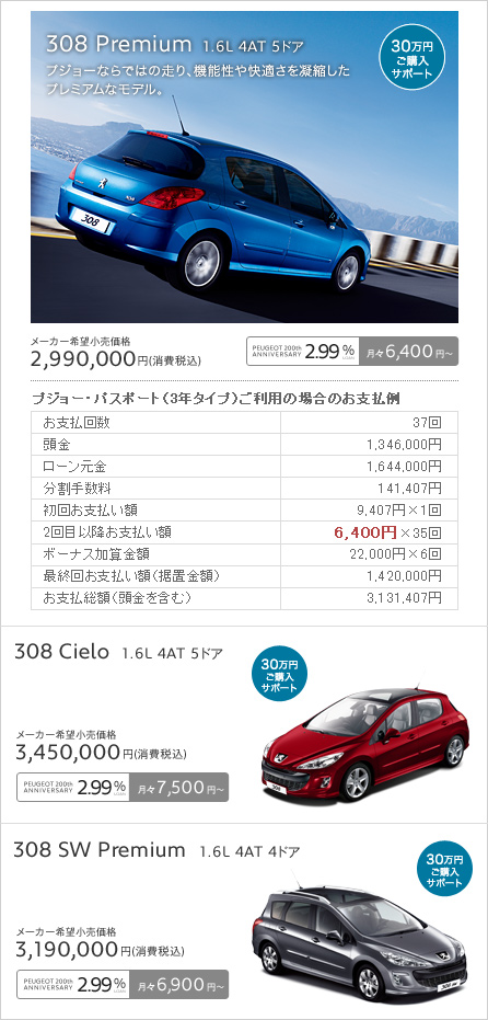 308 Series SPECIAL OFFER セクション2