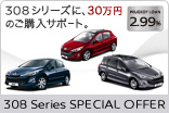 308 Series SPECIAL OFFER サムネール小
