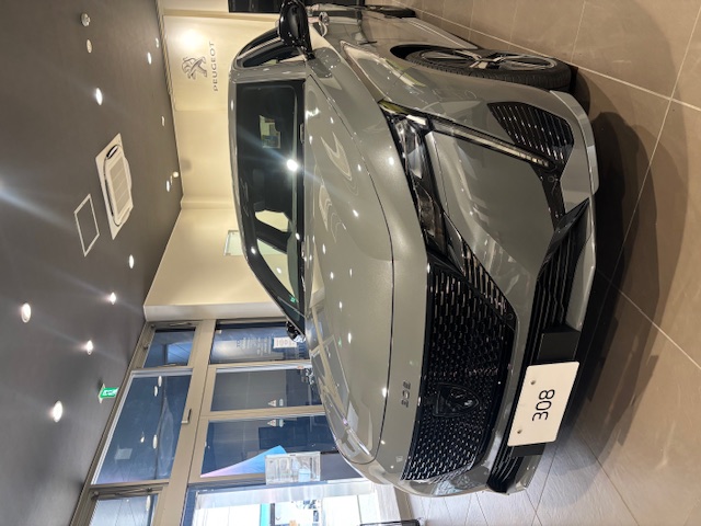 308 hybrid selenuim.jpg