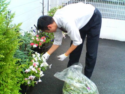 ガーデニング？