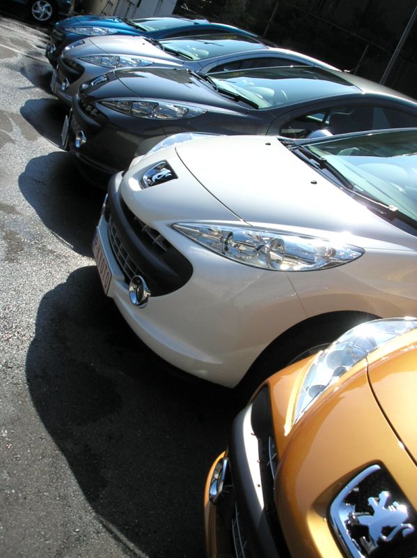 勢ぞろい？不ぞろい？