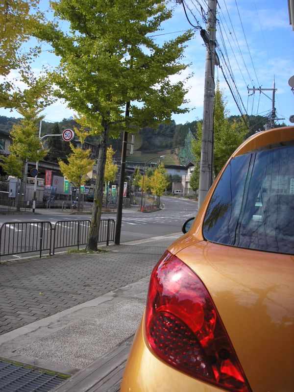 続・京都の紅葉は・・・