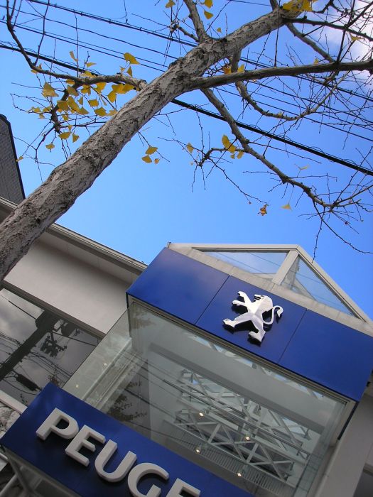 続続・京都の紅葉は･･･