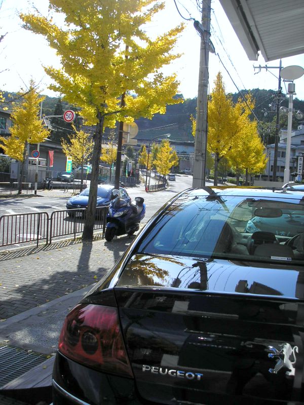続続・京都の紅葉は･･･