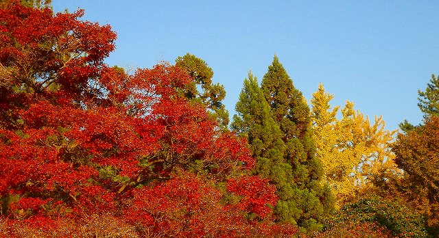 京都府立植物園