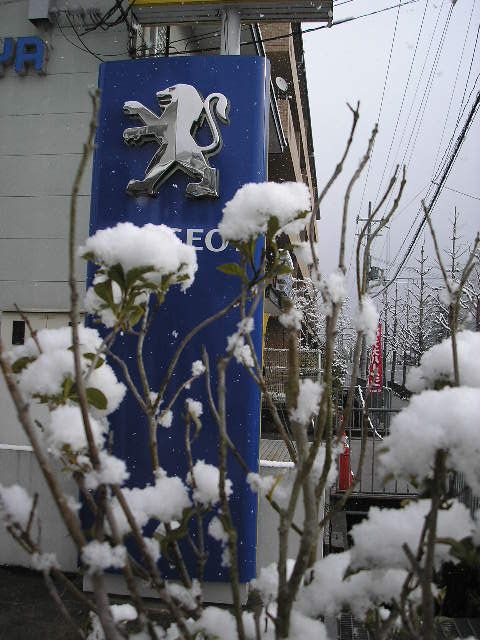 京都も雪景色