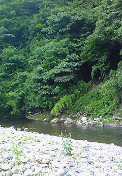 磯部麻奈の新人？日記　“休暇編”