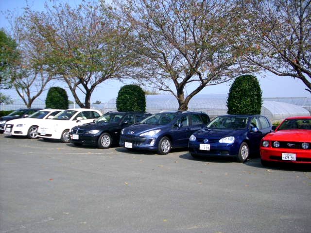 礒部麻奈の新人？日記　★輸入車合同試走会★