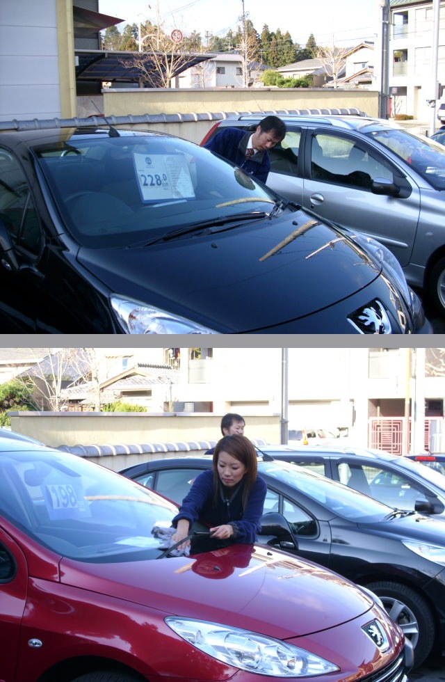 全員、洗車！
