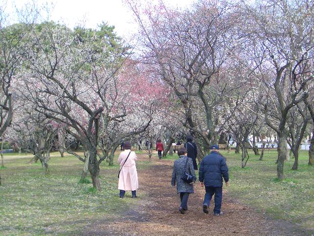 ボンジュ～ル吹田　　京都案内・京都御苑