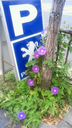 磯部麻奈の新人？？日記　“あげます☆”