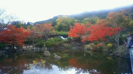 磯部麻奈の新人？？日記　“京都の紅葉情報　vol.1”