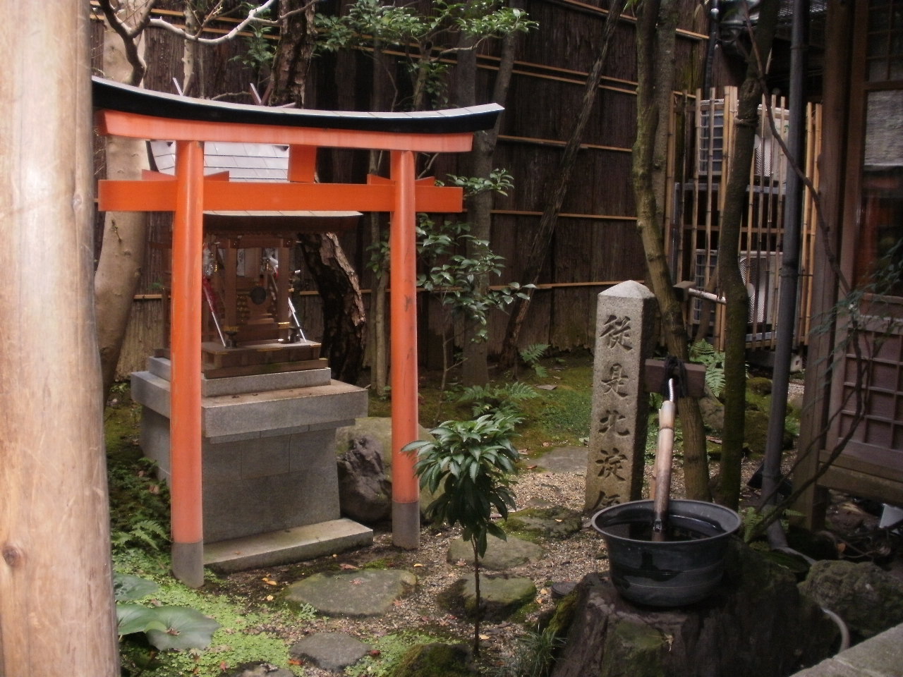 磯部麻奈の新人？？日記　“京都の紅葉情報vol.2”