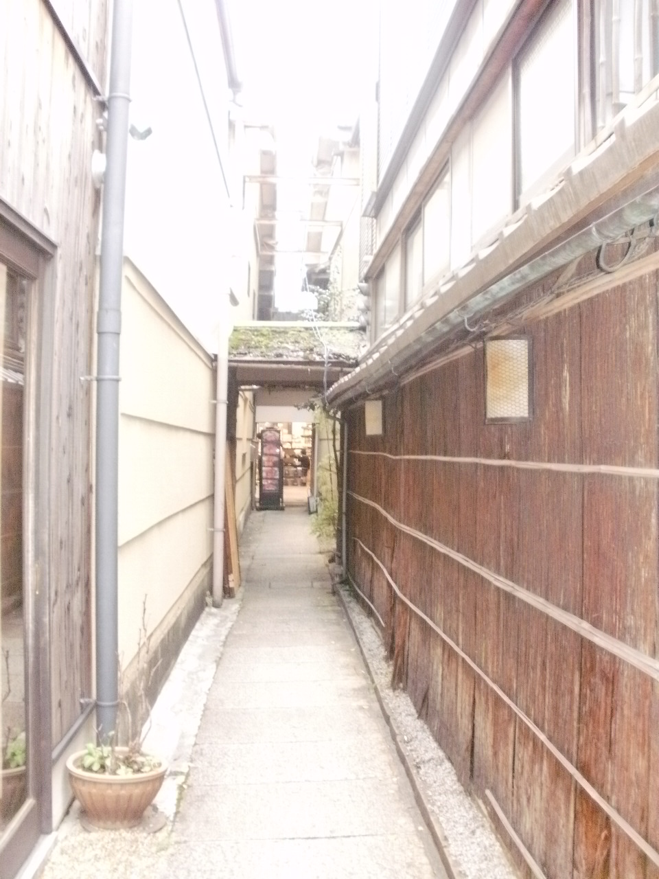 磯部麻奈の新人？？日記　“京都の紅葉情報vol.2”