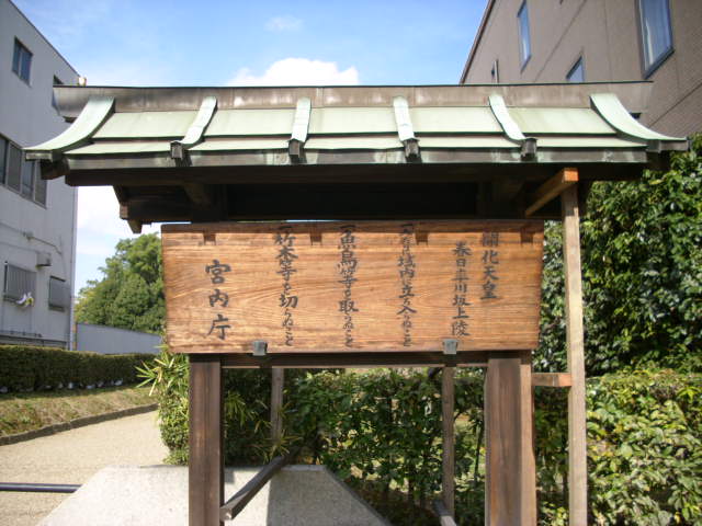番外編！！奈良の紅葉情報！！