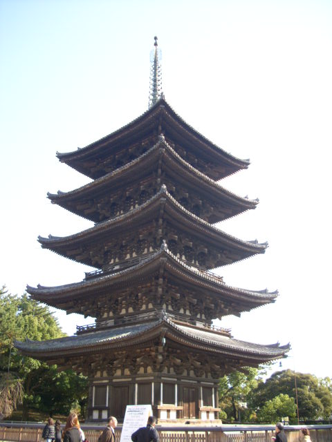 番外編！！奈良の紅葉情報！！vol.２