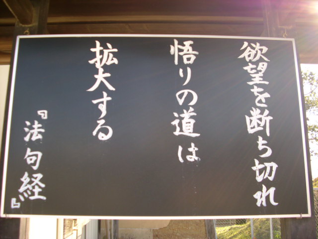 番外編！！奈良の紅葉情報！！vol.２