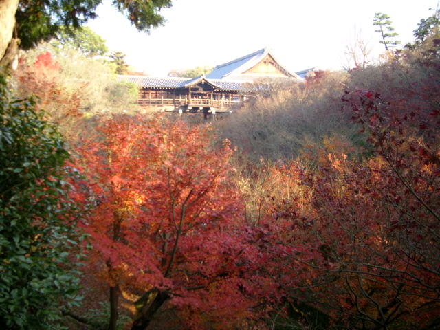京都の紅葉名所　『東福寺』さん　vol：１