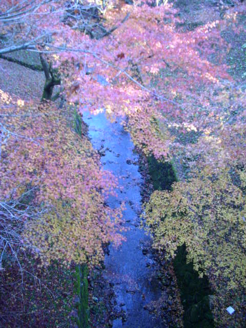 京都の紅葉名所　『東福寺』さん　vol：１