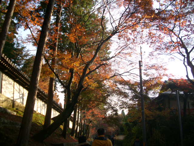 京都の紅葉名所　『東福寺』さん　vol：１
