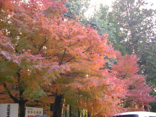 京都の紅葉名所　『東福寺』さん　vol：2