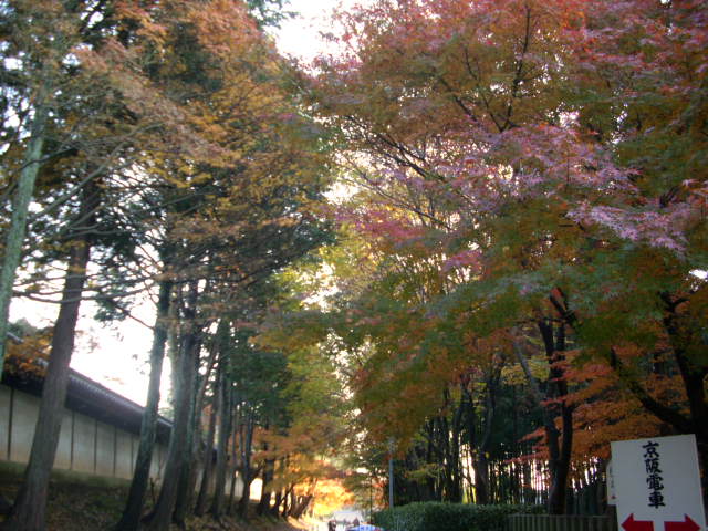 京都の紅葉名所　『東福寺』さん　vol：2