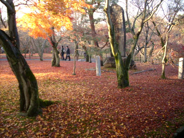 京都の紅葉名所　『東福寺』さん　vol：2