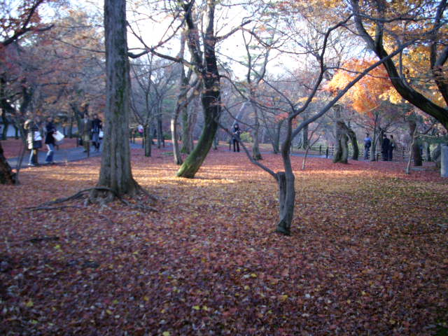 京都の紅葉名所　『東福寺』さん　vol：2