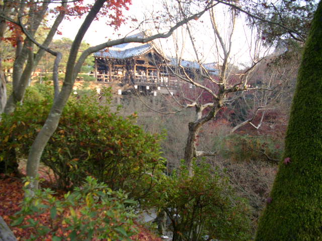 京都の紅葉名所　『東福寺』さん　vol：４