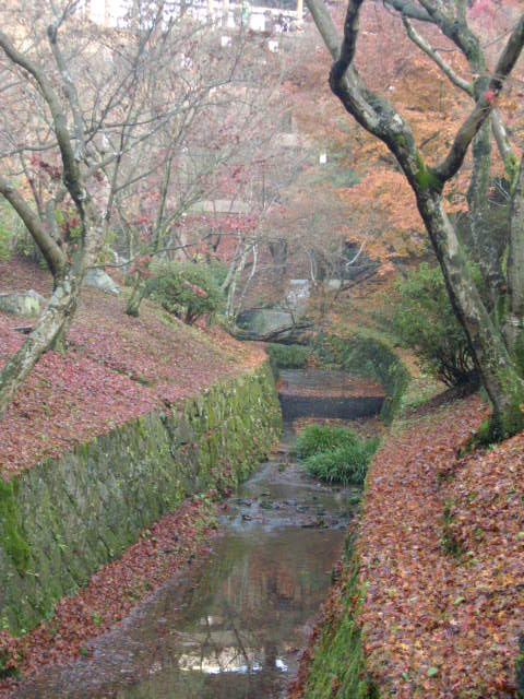 京都の紅葉名所　『東福寺』さん　vol：４