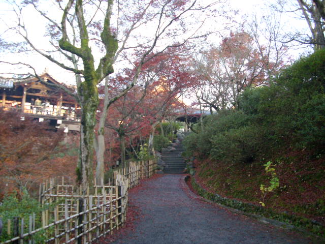 京都の紅葉名所　『東福寺』さん　vol：４