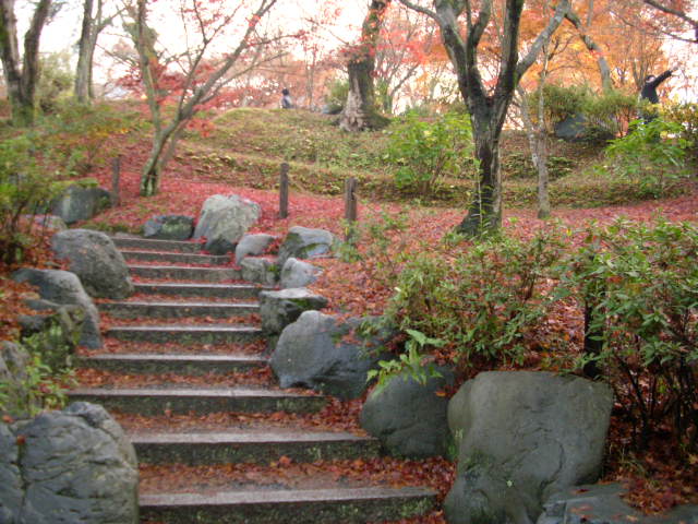 京都の紅葉名所　『東福寺』さん　vol：４