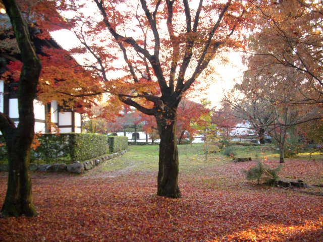 京都の紅葉名所　『東福寺』さん　vol：４