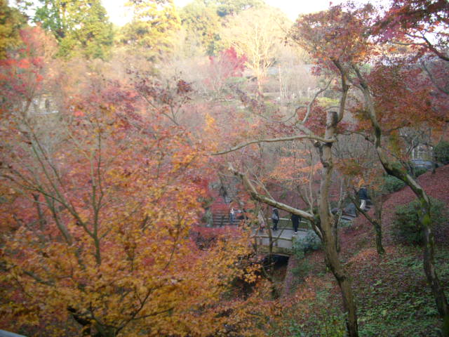 京都の紅葉名所　『東福寺』さん　vol：４