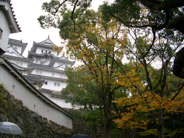 今年の抱負