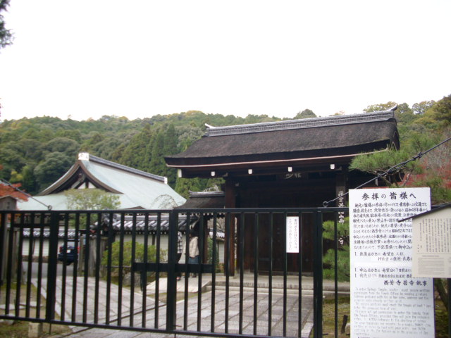 今年の抱負