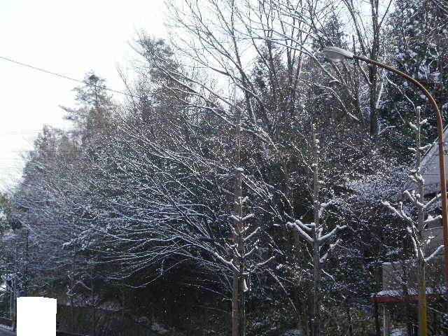 雪景色☆