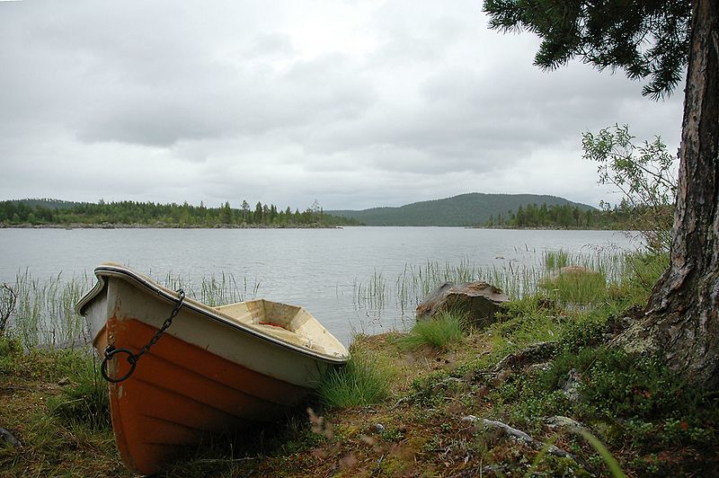 － INARI －