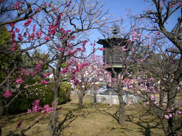 芸術鑑賞