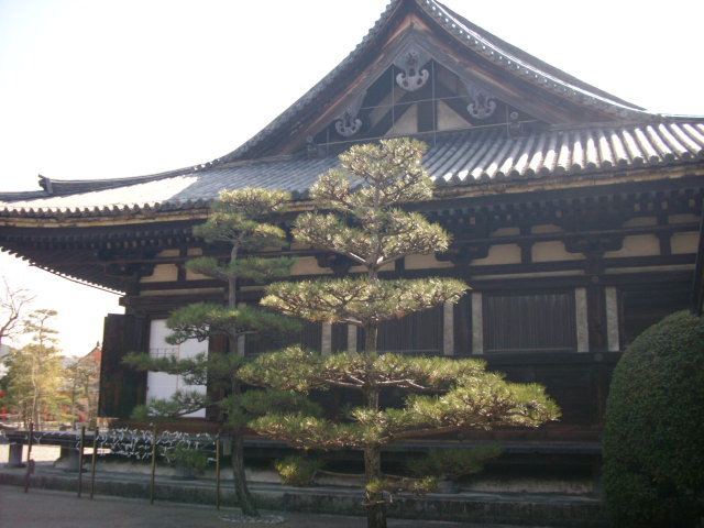 京都観光　～三十三間堂～