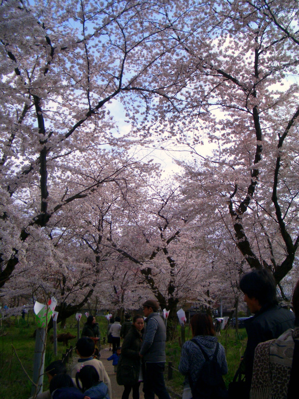 ボンジュ～ル吹田　2010春