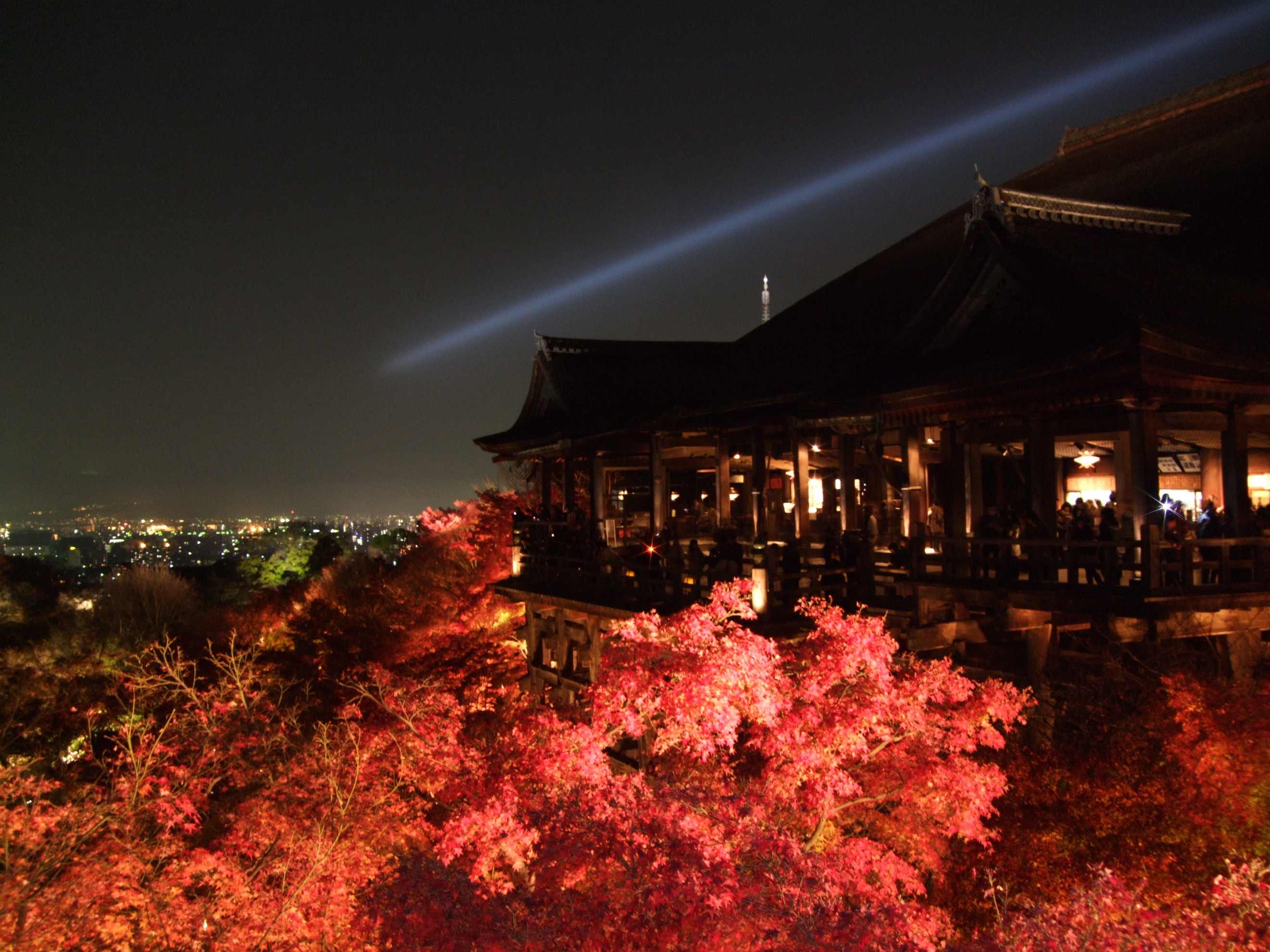 世界遺産・紅葉