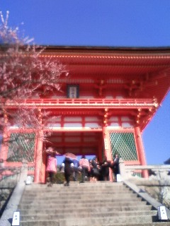 ボンジュ～ル吹田　「桜」