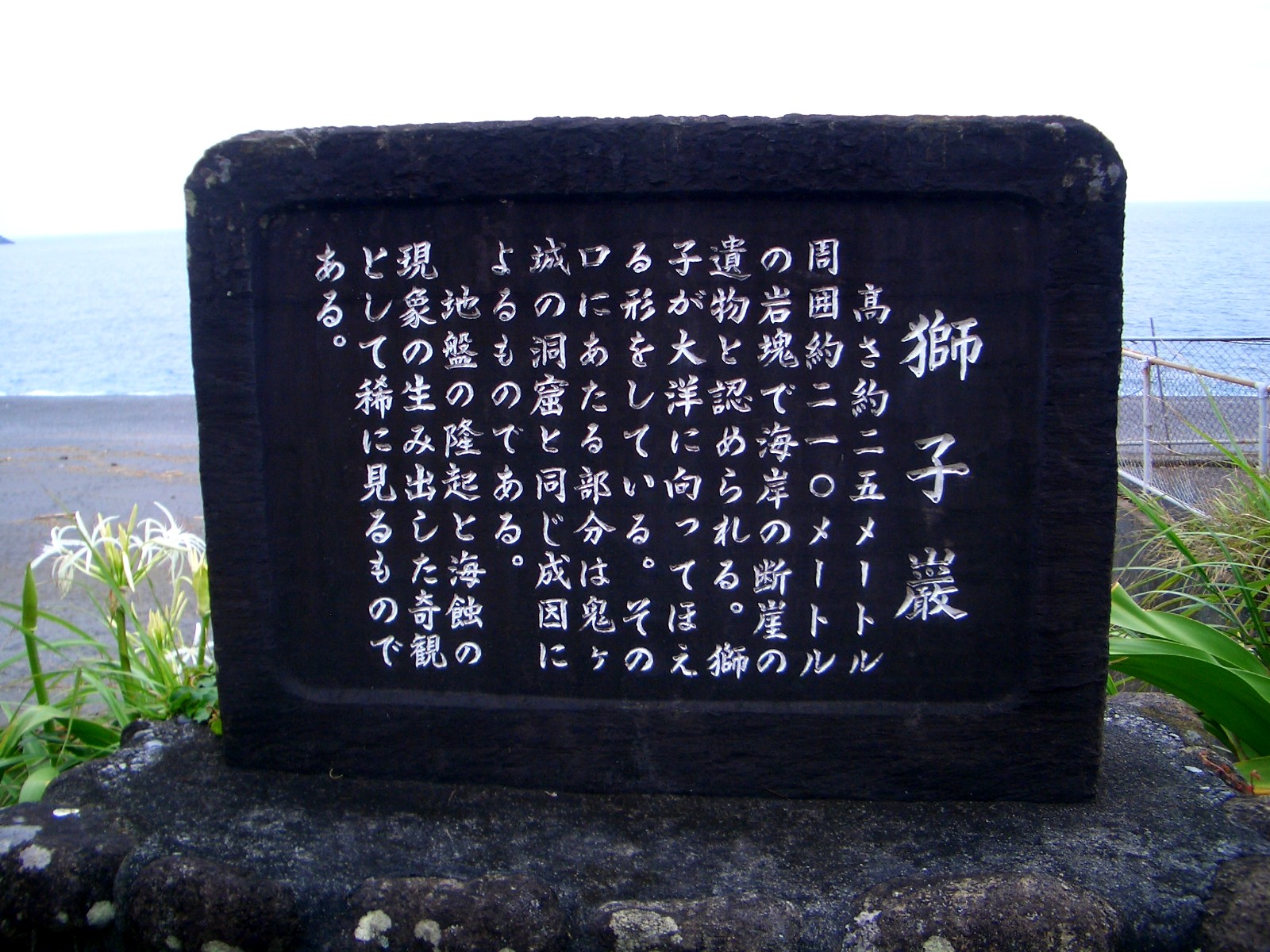 ボンジュ～ル吹田「ライオンの聖地」