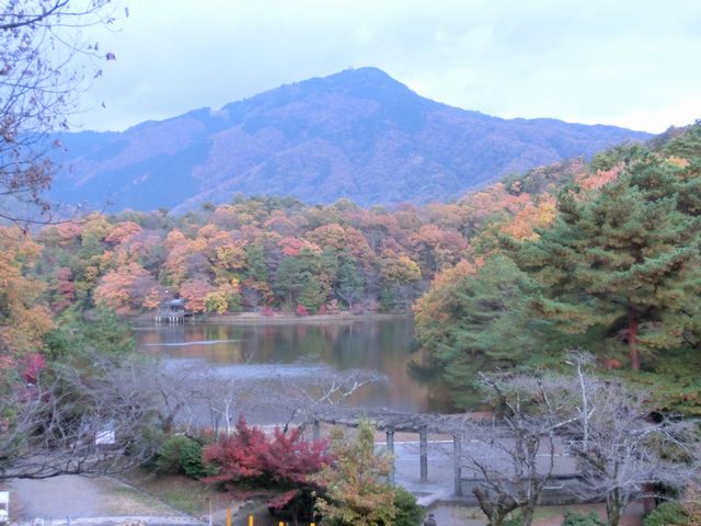 永年のご愛顧を頂き、誠にありがとうございました。