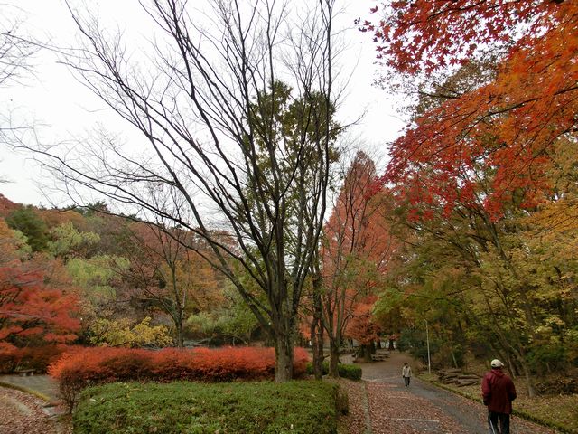 永年のご愛顧を頂き、誠にありがとうございました。