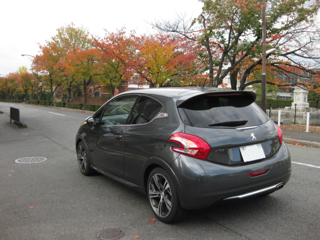 待望の車で紅葉レポート
